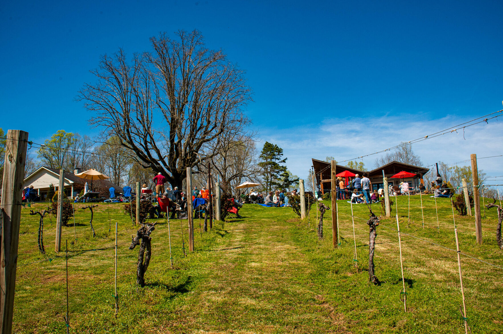 20210403-LEE_1784-Edit.jpg